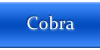 About Cobra Coverage
